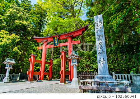 新潟 彌彦神社　～一の鳥居～ 102560041