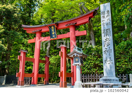 新潟 彌彦神社　～一の鳥居～ 102560042
