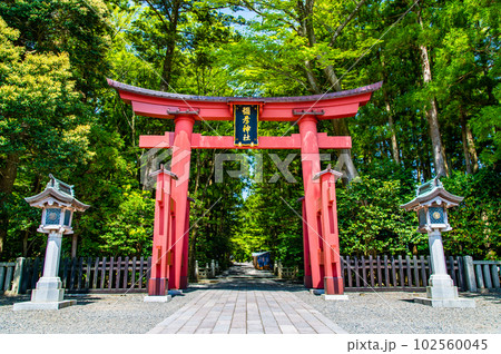 新潟 彌彦神社 ~一の鳥居~ 新潟 彌彦神社 ~一の鳥居~ 102560045