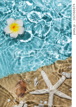 Sea water, sand and seashells background. Summer beach. Summer background. 102560874
