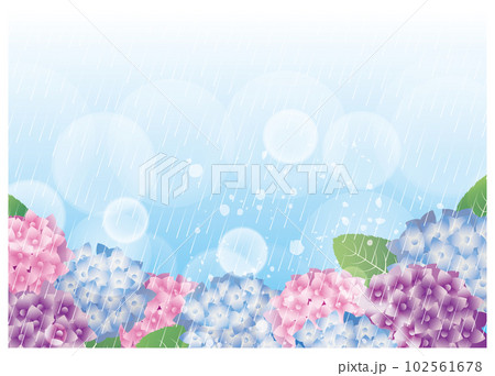 夏　梅雨　和風　紫陽花　背景 102561678