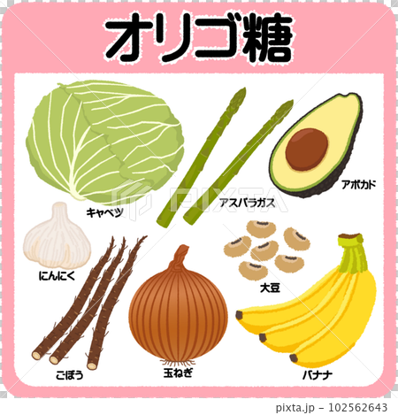 オリゴ糖のイラスト 102562643