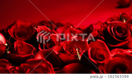 赤い薔薇の背景「AI生成画像」 102563399