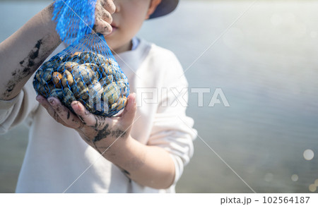 Image photo 102564187