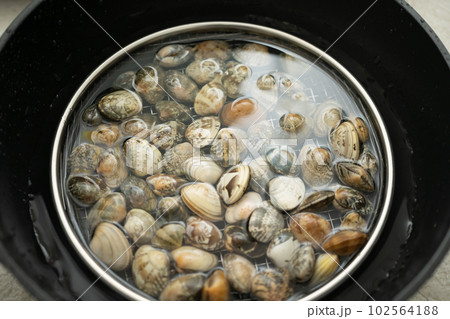 Image photo 102564188