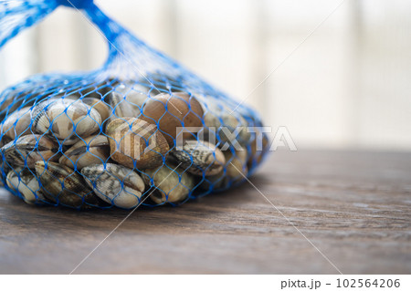 Image photo 102564206