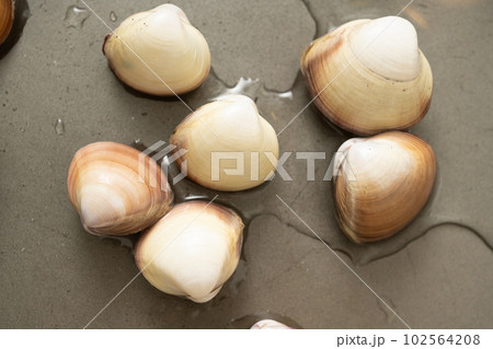 Image photo Image photo 102564208