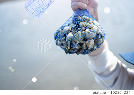 潮干狩り 潮干狩り 102564224