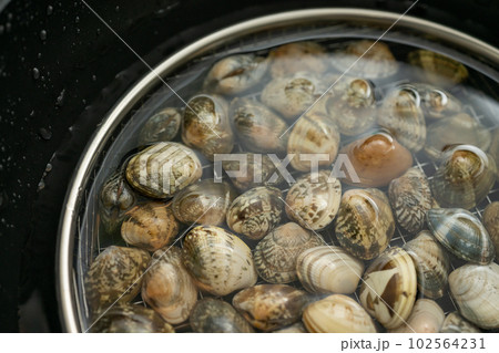 潮干狩り 102564231