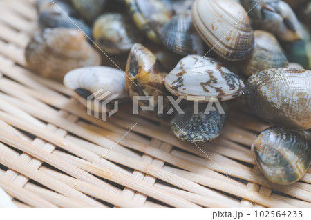 Image photo Image photo 102564233