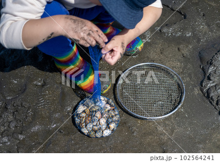潮干狩り 102564241