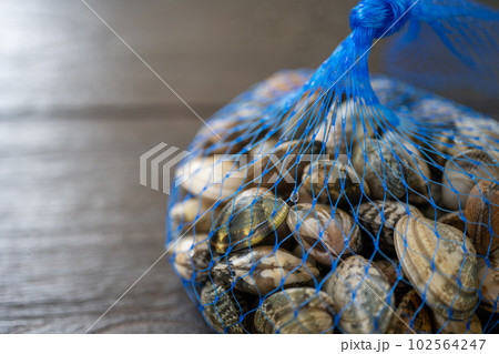 Image photo Image photo 102564247