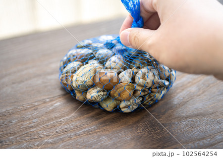 潮干狩り 102564254