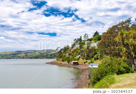 Otago Harbour Dunedin South Island New Zealand 102564537