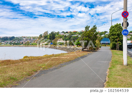 Scenic bikeway along Otago Harbour Dunedin South Island New Zealand 102564539