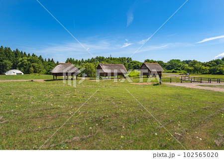 青森 三内丸山遺跡 縄文のムラの風景 102565020