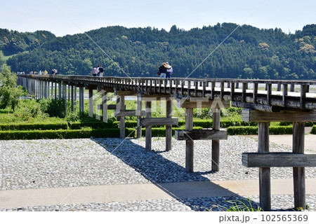 島田市　大井川に架かる蓬莱橋と879.4（やくなし）広場 102565369