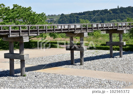 島田市 大井川に架かる蓬莱橋と879.4(やくなし)広場 島田市 大井川に架かる蓬莱橋と879.4(やくなし)広場 102565372