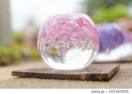 薄桃色の紫陽花の丸い花手水 102565605