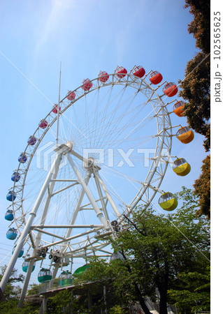 到津の森公園の青空と大観覧車 102565625