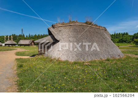青森 三内丸山遺跡 竪穴住居 青森 三内丸山遺跡 竪穴住居 102566204