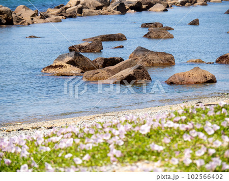 初夏の瀬戸内海(播磨灘)の風景。兵庫県明石市内の海岸。 102566402