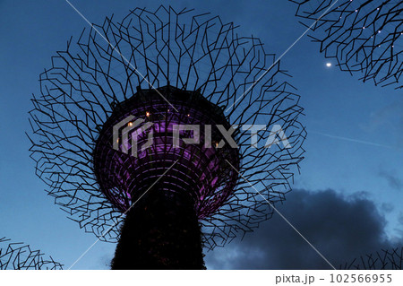 supertree in gardens by the bay 1 supertree in gardens by the bay 1 102566955