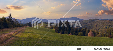 Summer mountainous green meadow with stackes of hay (Slavske village, Carpathian Mts, Ukraine). 102567008