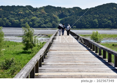 島田市 大井川に架かる蓬莱橋と観光客と対岸(南岸)の森林 島田市 大井川に架かる蓬莱橋と観光客と対岸(南岸)の森林 102567349