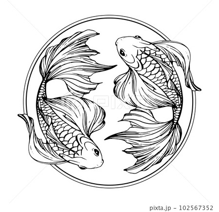 Pisces zodiac sign, boho line tattoo, two beautiful fishes in a circle. Vector engraving stylization, horoscope element water, hand drawn illustration isolated on white background. Pisces zodiac sign, boho line tattoo, two beautiful fishes in a circle. Vector engraving stylization, horoscope element water, hand drawn illustration isolated on white background. 102567352