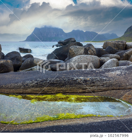 Haukland beach summer view (Norway, Lofoten). 102567996