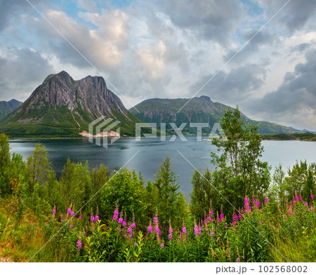 Fjord summer cloudy view, Norway 102568002