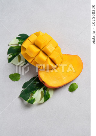 マンゴー マンゴ 夏 102568230