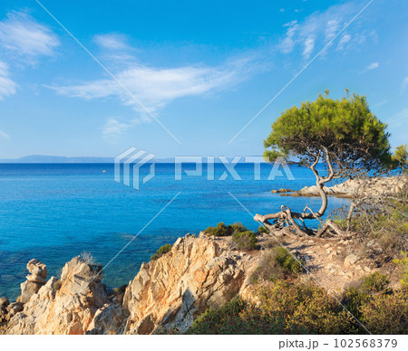 Aegean sea coast (Chalkidiki, Greece). 102568379