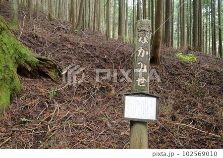 青梅市の御岳山の登山道にあるなかみせの看板 青梅市の御岳山の登山道にあるなかみせの看板 102569010