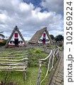Typical, traditional, colorful houses in Madeira in Santana village 102569224