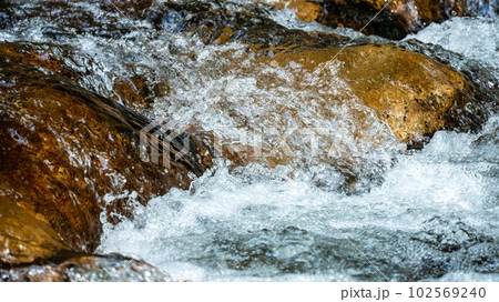 渓谷の急な川の流れ 渓谷の急な川の流れ 102569240
