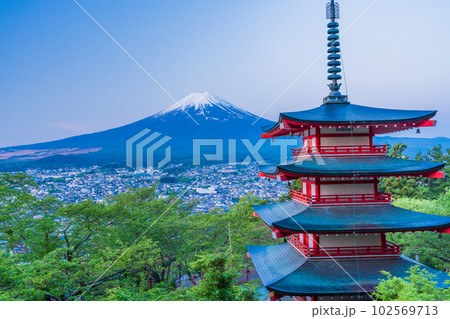 （山梨県）日本の美・新緑の新倉山浅間公園から望む富士山　早朝 102569713
