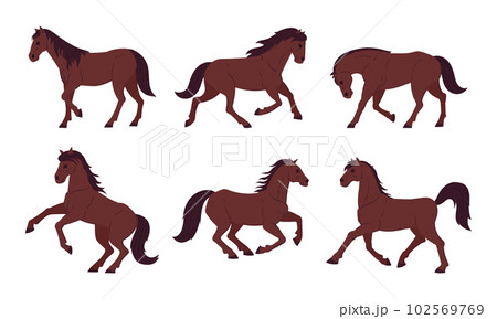 Cartoon brown horses. Graceful running, galloping and standing animals. Thoroughbred farm or ranch horses flat vector illustration collection Cartoon brown horses. Graceful running, galloping and standing animals. Thoroughbred farm or ranch horses flat vector illustration collection 102569769