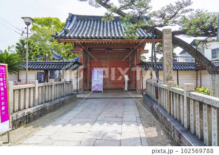 葛井寺　四脚門（西門）--大阪府藤井寺市-- 102569788