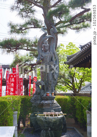 葛井寺 専心龍乗観音菩薩像 --大阪府藤井寺市--の写真素材 [102569853