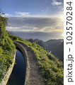 Wonderful hiking trail along levada on Madeira Island, 102570284