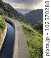 Wonderful hiking trail along levada on Madeira Island, 102570288