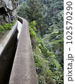 Wonderful hiking trail along levada on Madeira Island, 102570290