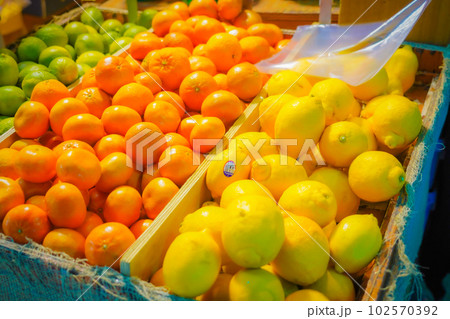 ジャン・タロン市場(野菜市場) ジャン・タロン市場(野菜市場) 102570392
