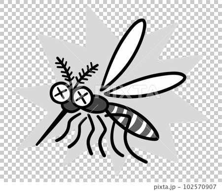 被殺死的蚊子黑色和白色 102570907