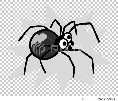 危険なセアカゴケグモ　白黒 102570934