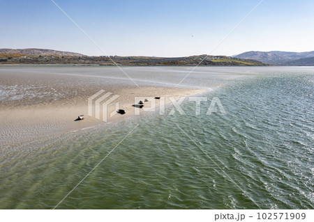 Seals swimming and and resting at Gweebarra bay - County Donegal, Ireland 102571909