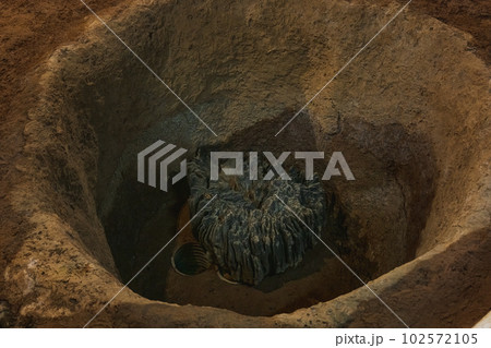 青森 三内丸山遺跡 大型掘立柱建物跡 青森 三内丸山遺跡 大型掘立柱建物跡 102572105