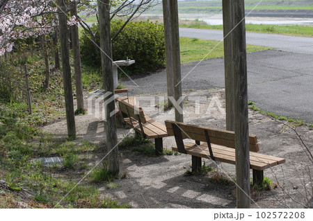 春の公園のベンチ 102572208